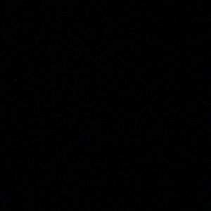 Meet your Posher, Delaney